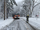 2023-02-02 Baum auf Fahrbahn