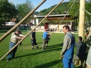 Maibaum 2011