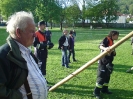 Maibaum 2011