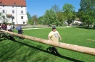 Maibaum 2012 