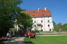 Maibaum 2012 